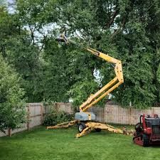 Lawn Maintenance Plans in Slayton, MN